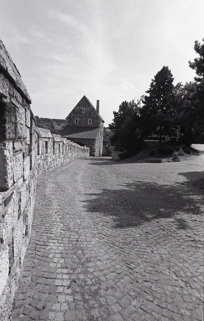 Flektogon 20mm Praktica BC-1-9789