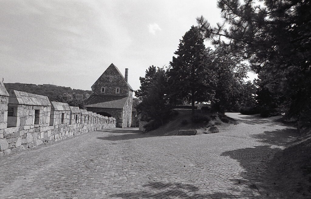 Flektogon 20mm Praktica BC-1-9792