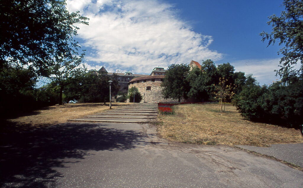 Praktica BC1 Flektogon 20mm Provia 100-9612