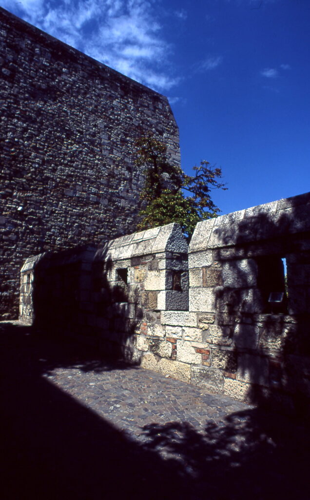 Praktica BC1 Flektogon 20mm Provia 100-9608