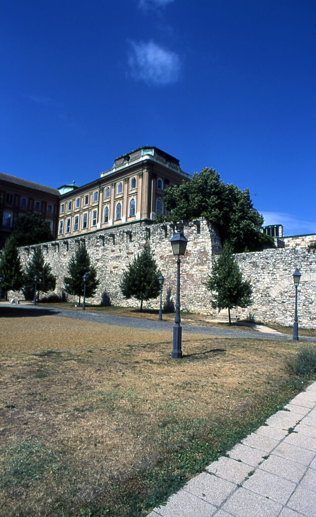 Praktica BC1 Flektogon 20mm Provia 100-9609