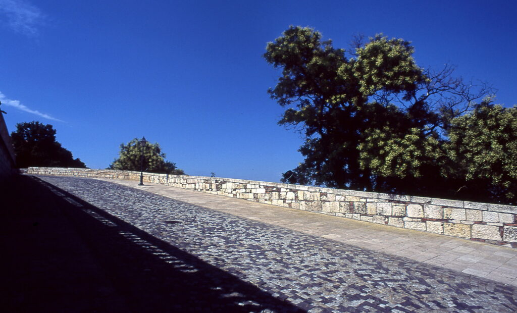 Praktica BC1 Flektogon 20mm Provia 100-9613
