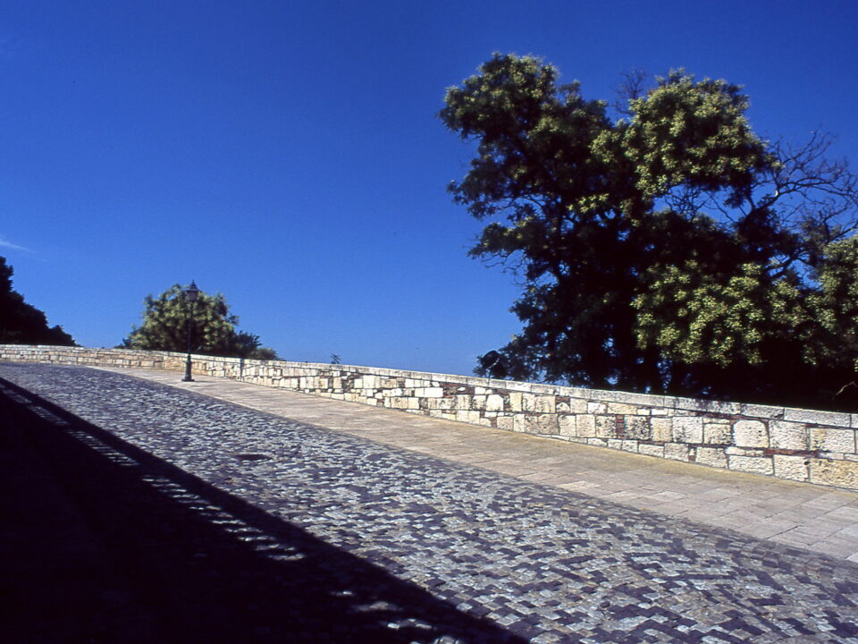 Praktica BC1 Flektogon 20mm Provia 100