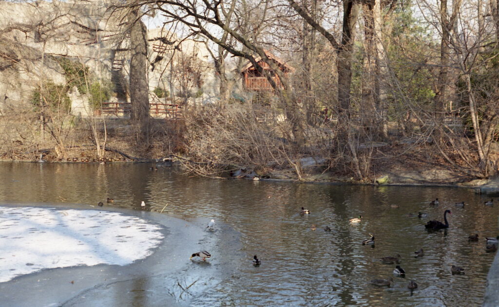 Praktica FX2 SMC Takumar 2/55mm Fuji Superia 400-5678