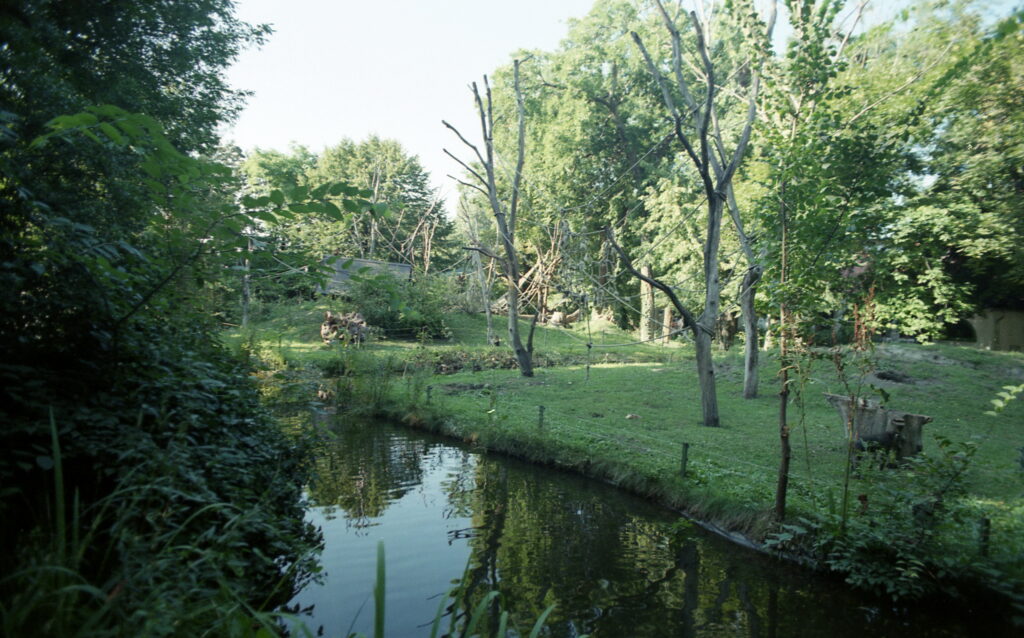 Praktica VLC3-5297