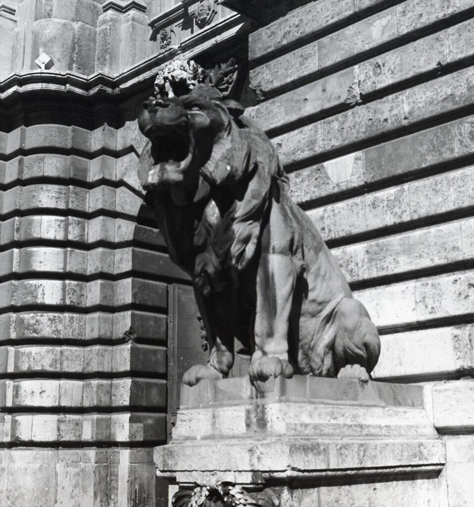 Praktisix Biometar 80 Fomapan 100-9961