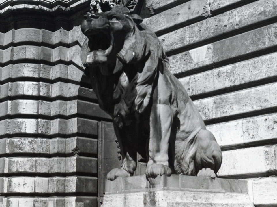 Praktisix Biometar 80 Fomapan 100
