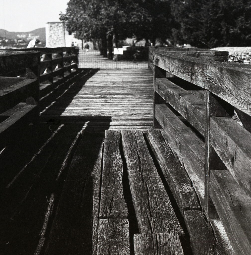 Praktisix Biometar 80 Fomapan 100-9962