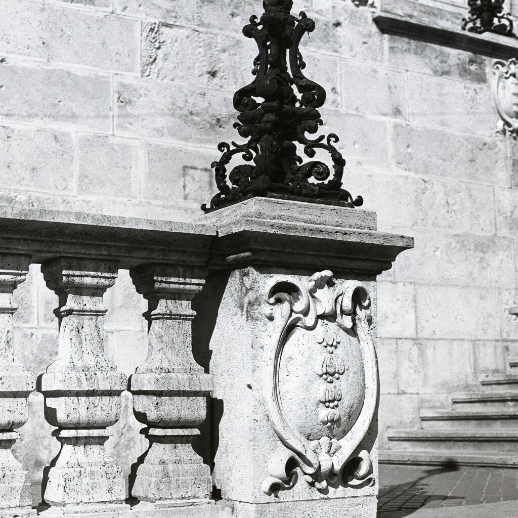Praktisix Biometar 80 Fomapan 100-9963