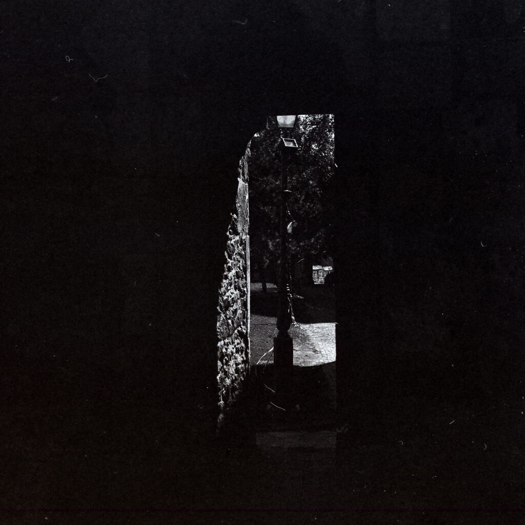 Praktisix Biometar 80 Fomapan 100-9964
