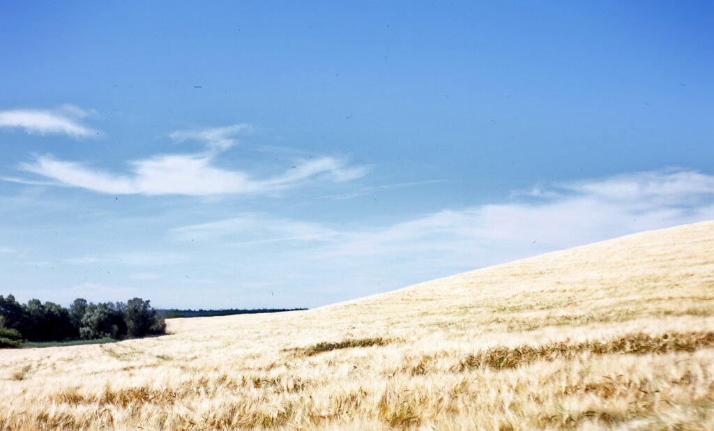 Rolleiflex CZ Tessar 75mm f3.5 Provia 100F-6036