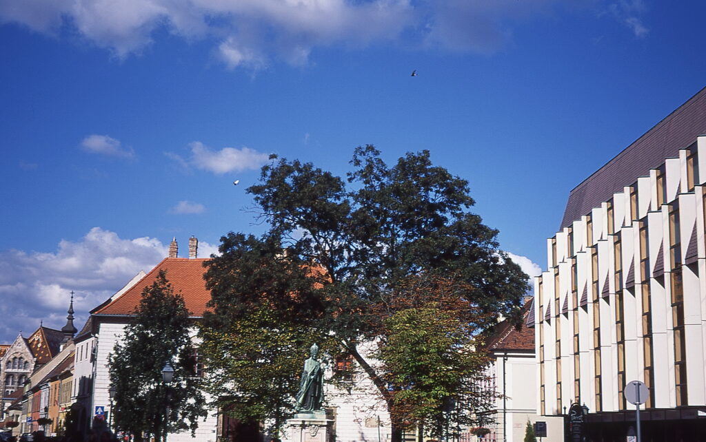 Werra 3 Provia 100 DIY E-6-10028