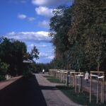 Werra 3 Provia 100 DIY E-6-10048