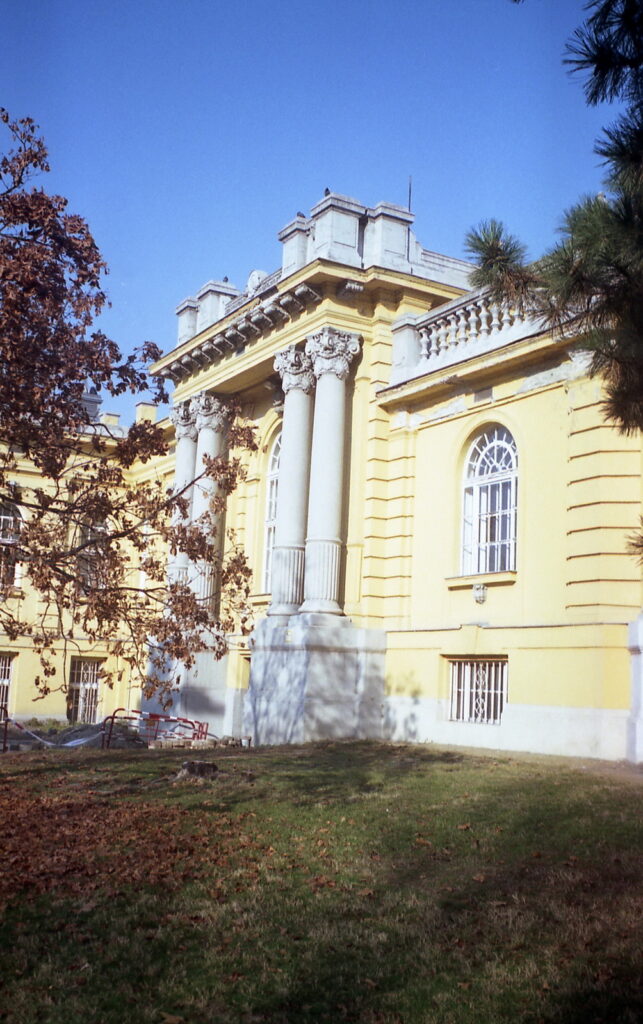 Werra 3 Flektogon 35mm Fuji Color 200-10276