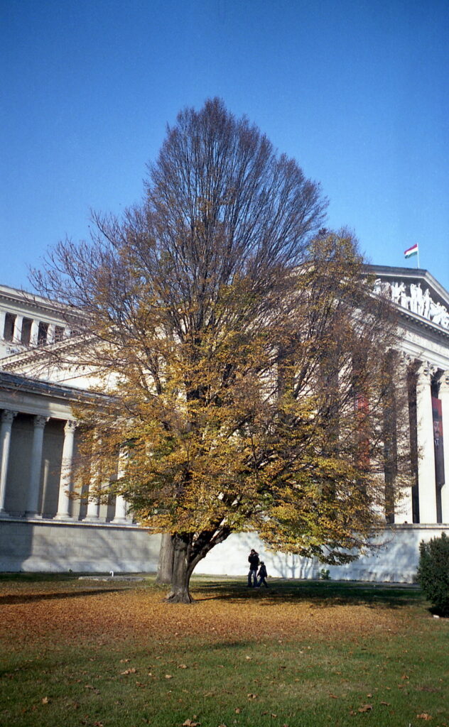Werra 3 Flektogon 35mm Fuji Color 200-10278