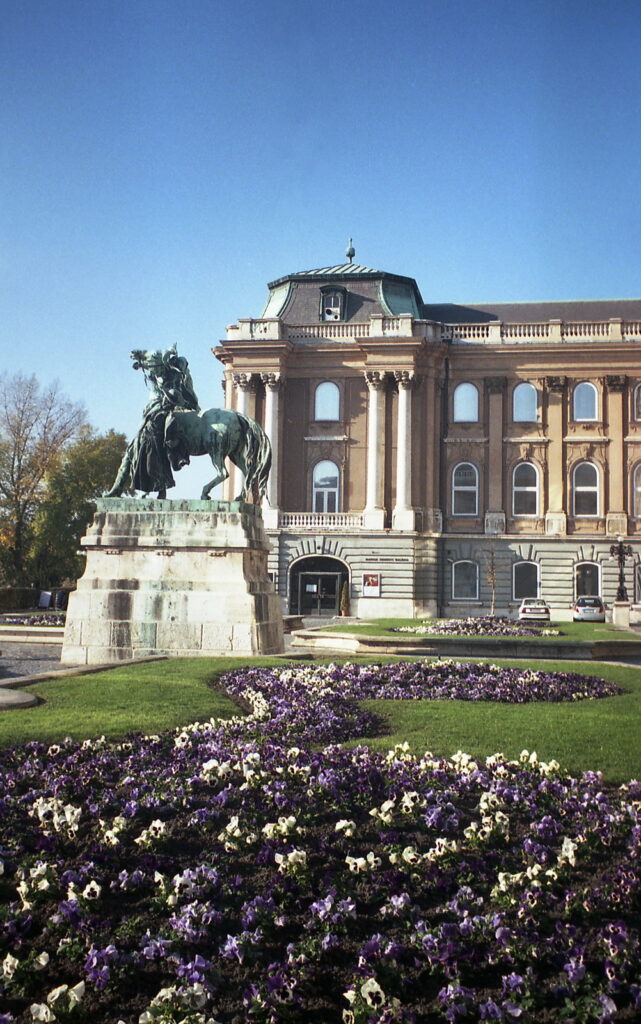 Werra 3 Flektogon 35mm Fuji Color 200-10283