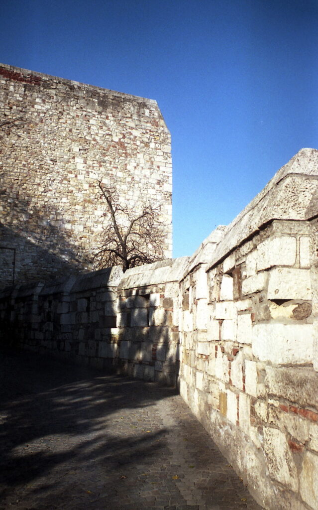 Werra 3 Flektogon 35mm Fuji Color 200-10286
