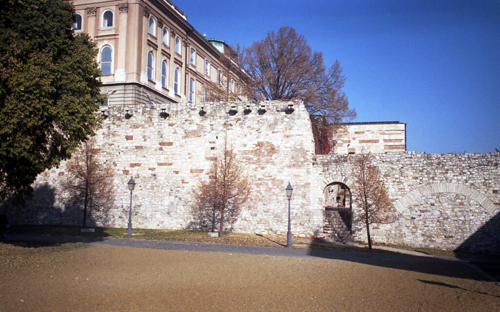 Werra 3 Flektogon 35mm Fuji Color 200-10287