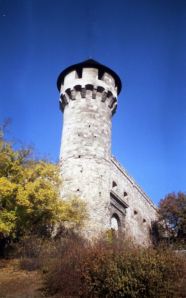 Werra 3 Flektogon 35mm Fuji Color 200-10288