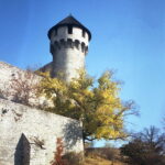 Werra 3 Flektogon 35mm Fuji Color 200-10289