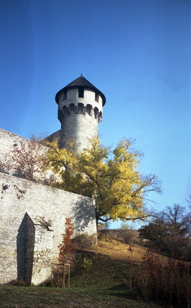 Werra 3 Flektogon 35mm Fuji Color 200-10289
