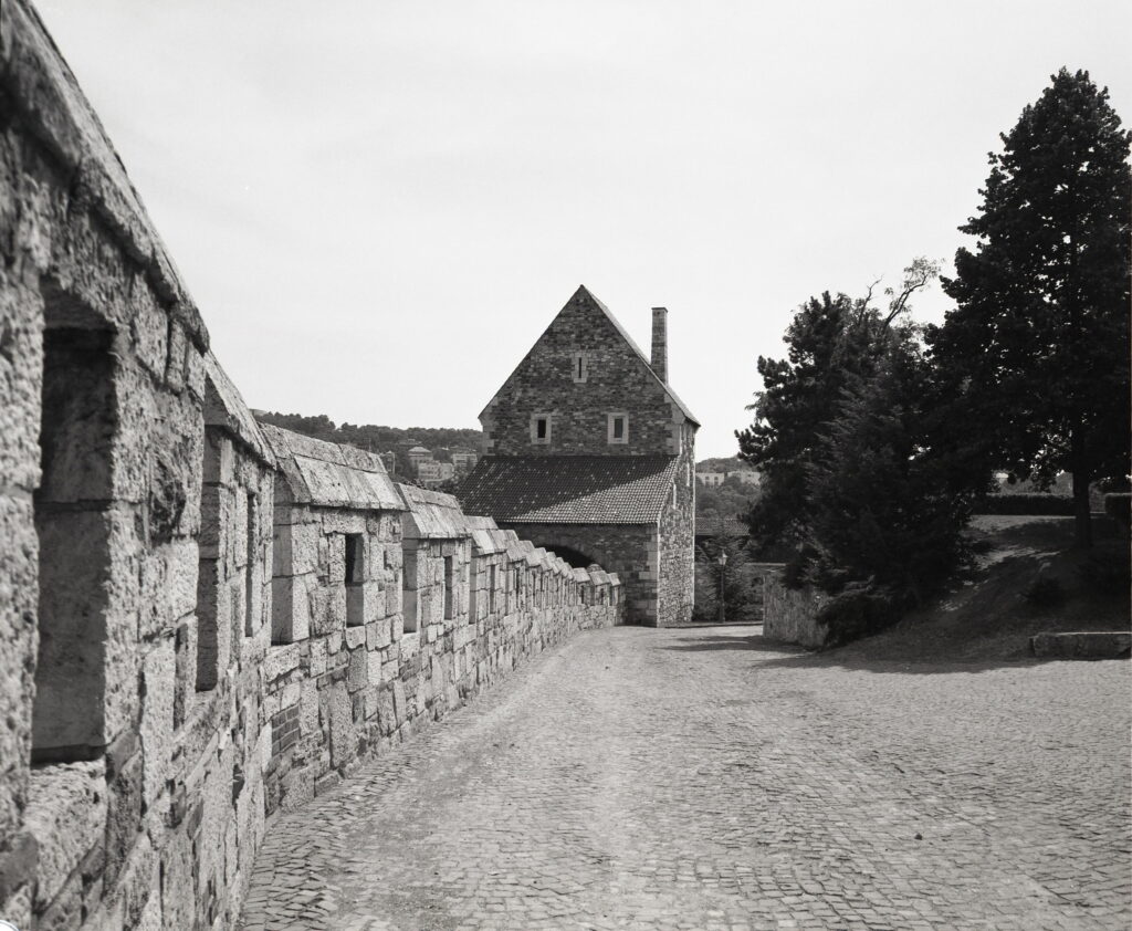Koni Omega 6x7 RF camera Hexanon 60mm Fomapan 100-9591