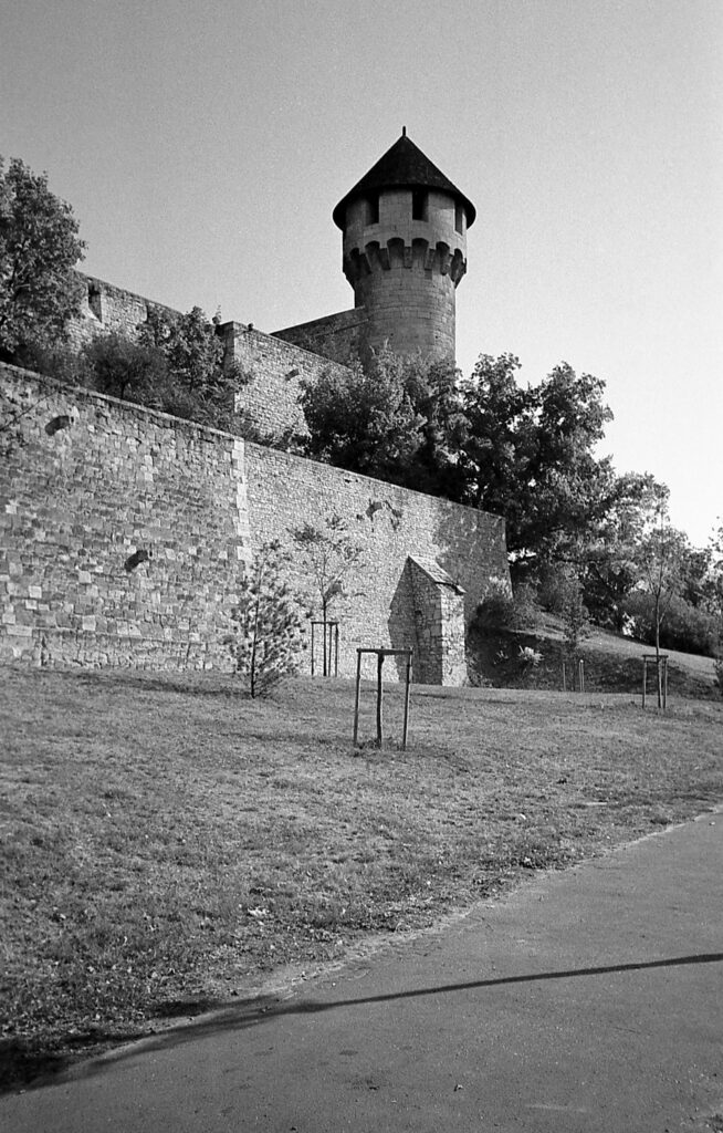 Konica AF3 Agfa APX 100-9981