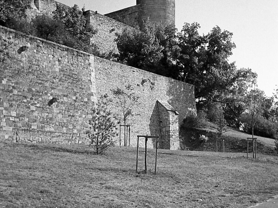 Konica AF3 Agfa APX 100