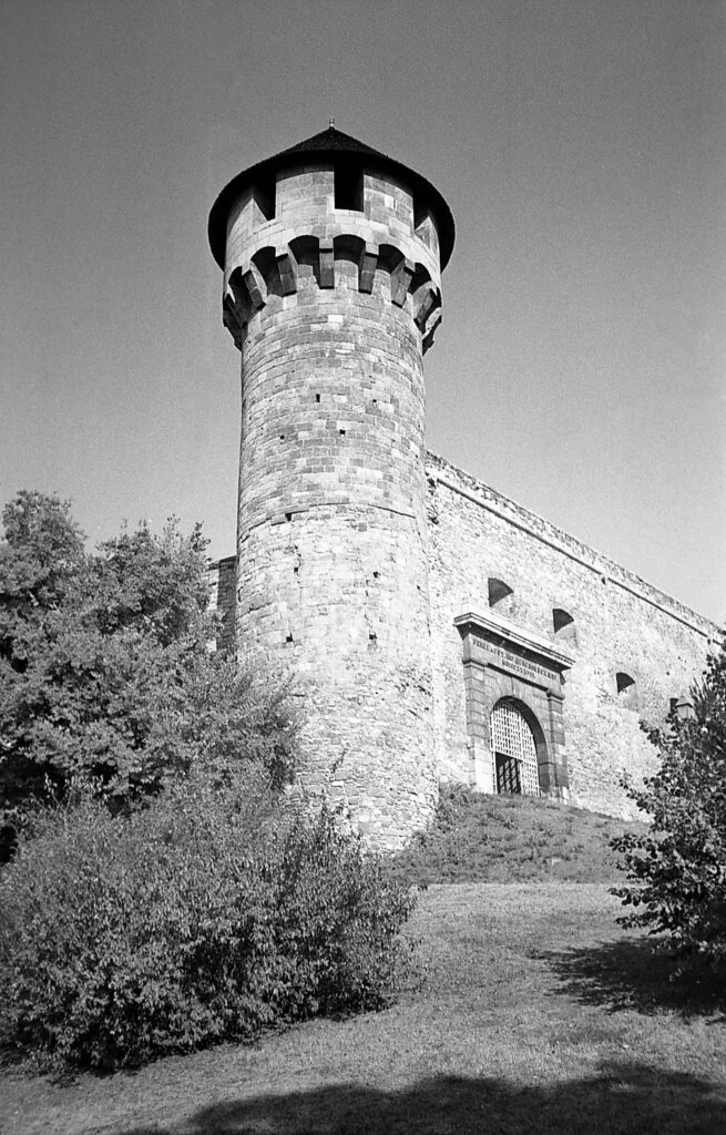 Konica AF3 Agfa APX 100-9983