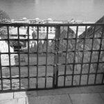 Konica AF3 Agfa APX 100-9987