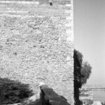 Konica AF3 Agfa APX 100-9989