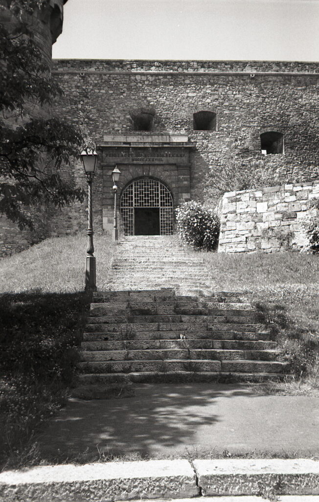 Konica Big Mini Agfa APX 100-9017