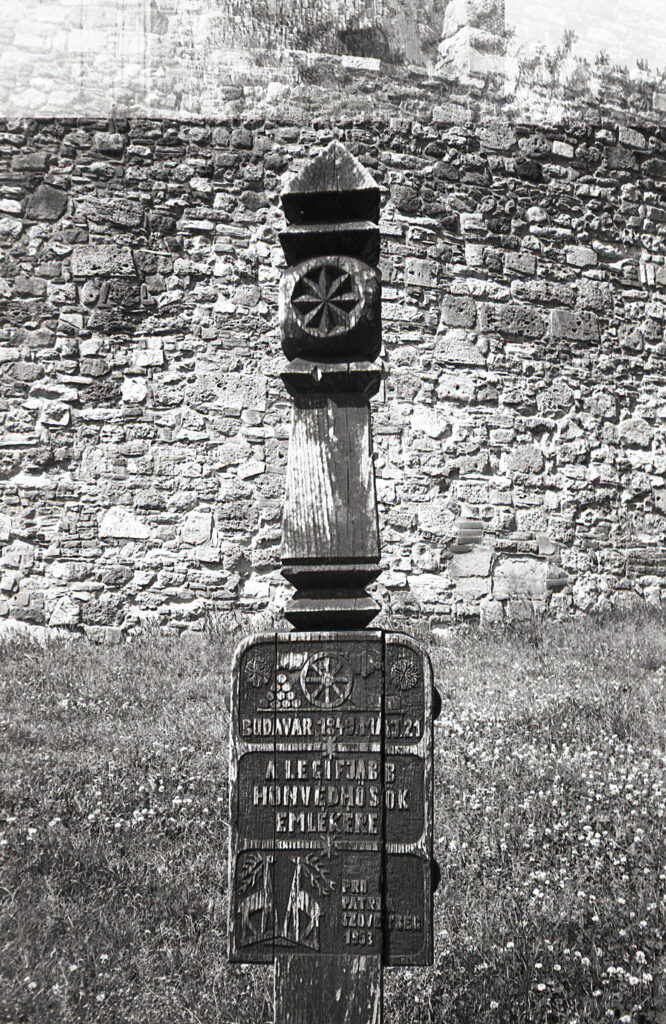 Konica Big Mini Agfa APX 100-9018