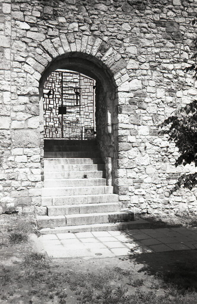 Konica Big Mini Agfa APX 100-9019