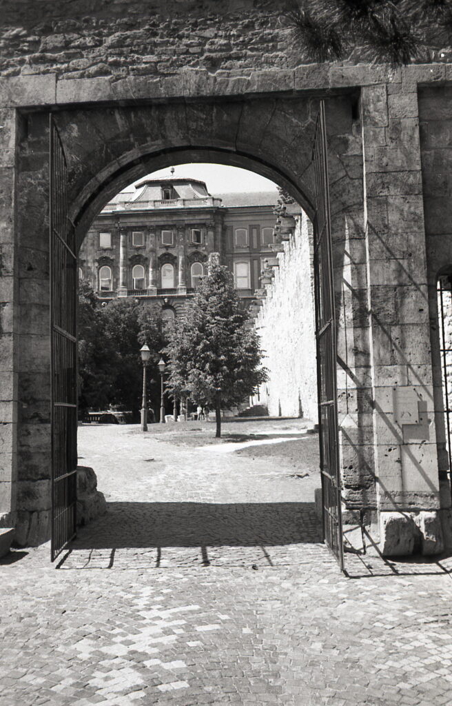 Konica Big Mini Agfa APX 100-9020