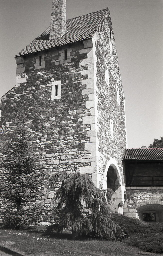 Konica Big Mini Agfa APX 100-9021