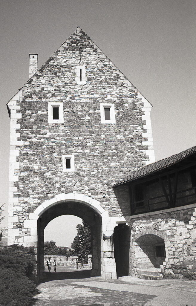 Konica Big Mini Agfa APX 100-9022