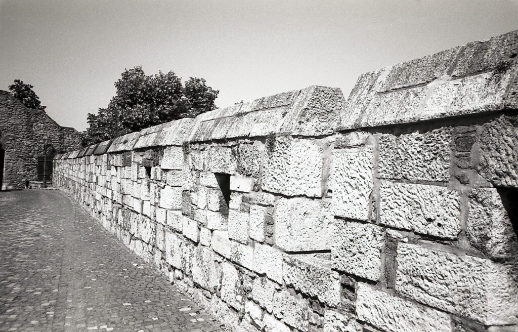 Konica Big Mini Agfa APX 100-9023