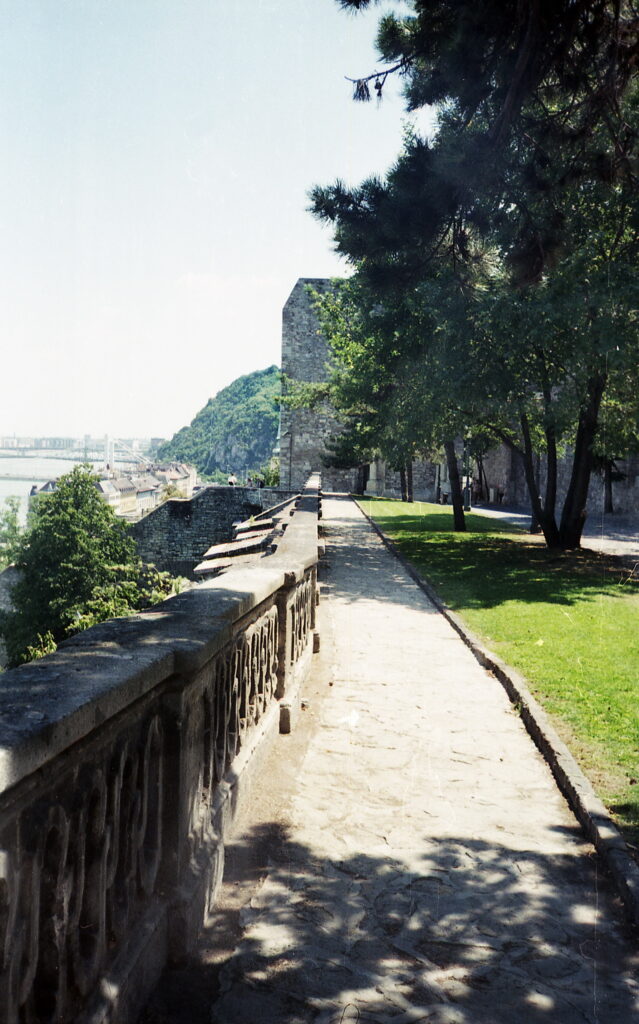 Konica BIG mini Muller 200 drugstore film-10060