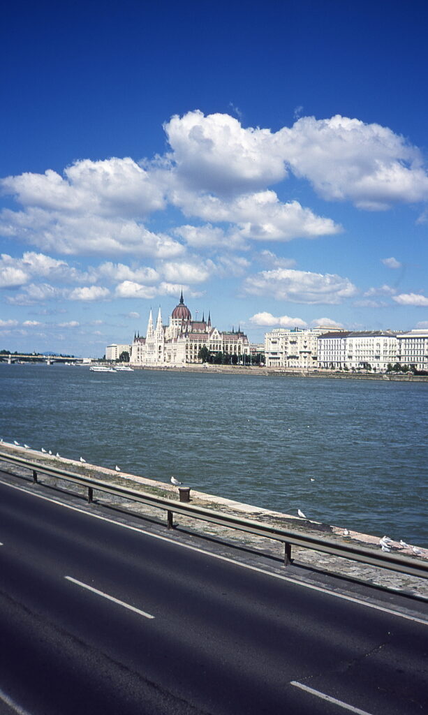 Konica C35 Black Provia 100-9997