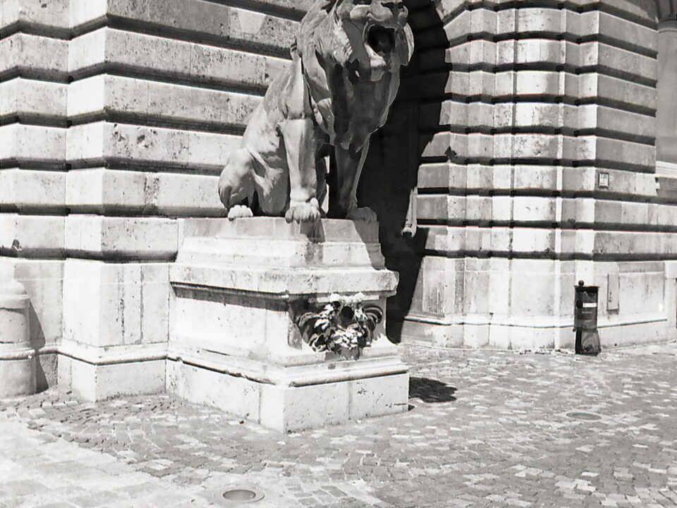 Konica FP-1 Konica Hexanon 24mm Agfa APX 100