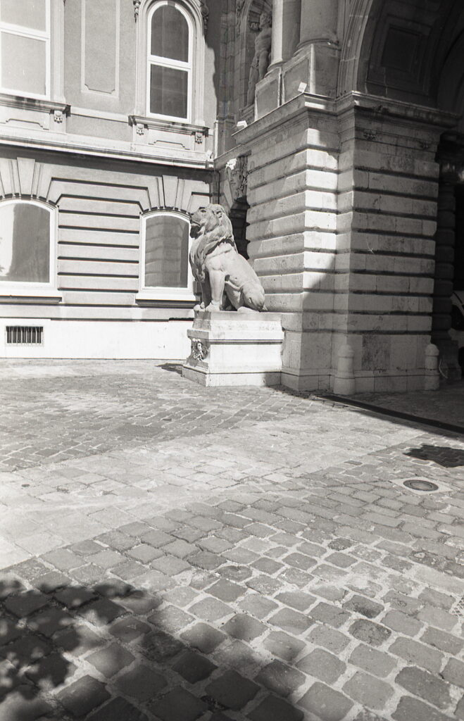 Konica FP-1 Konica Hexanon 24mm Agfa APX 100-8879