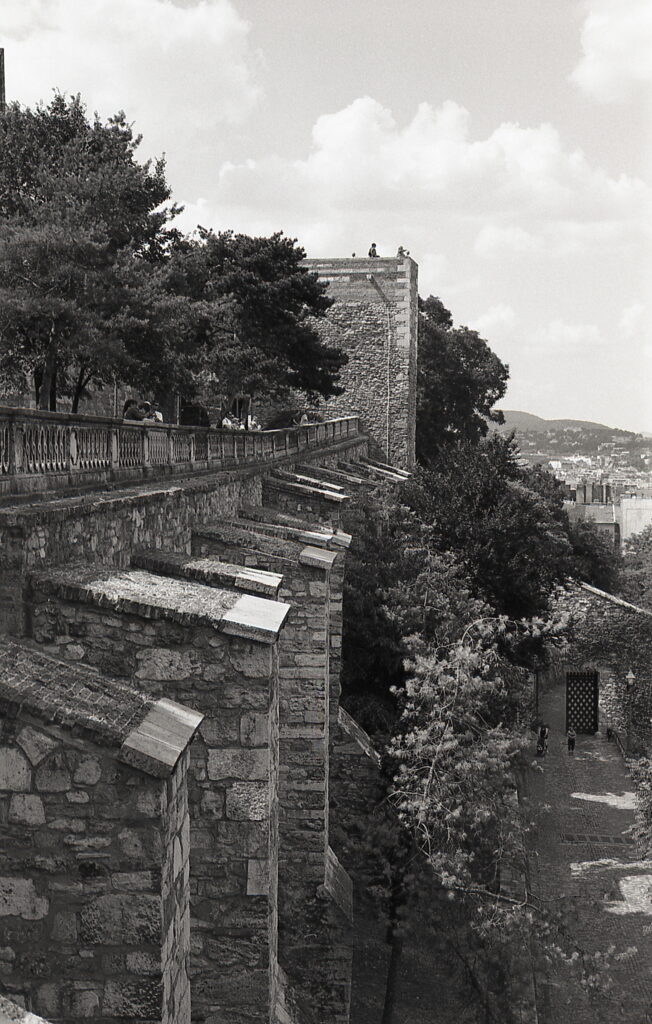 Konica IIIM Agfa APX 100-9337