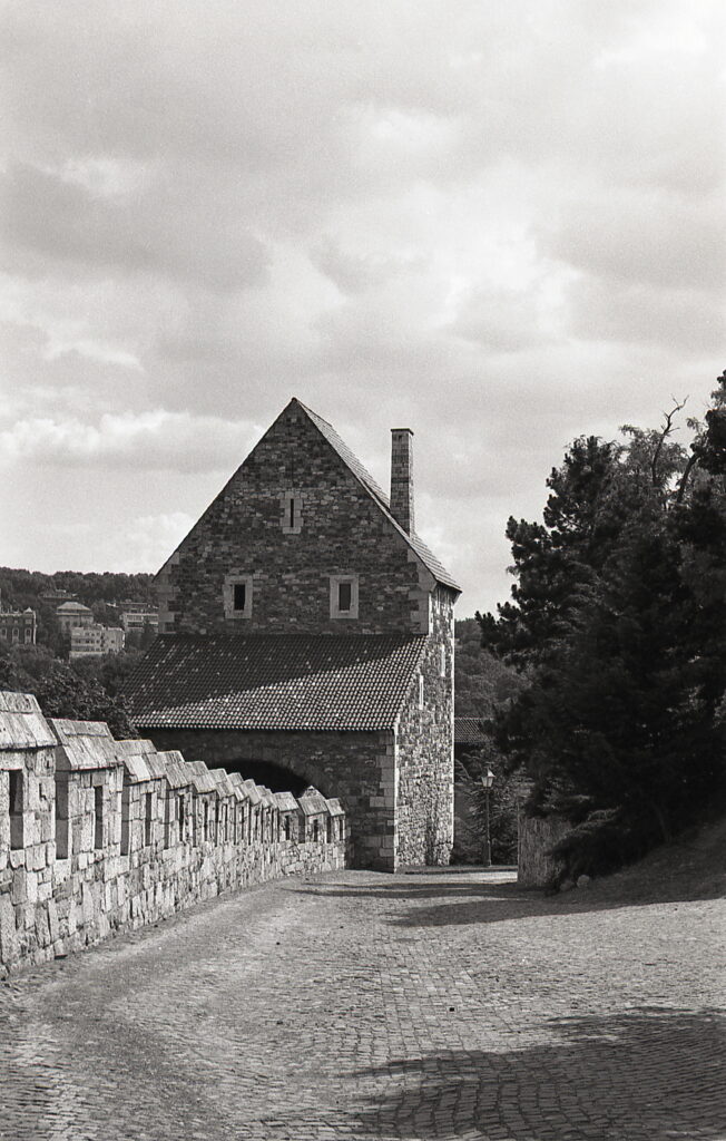 Konica IIIM Agfa APX 100-9338