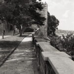 Konica IIIM Agfa APX 100-9339