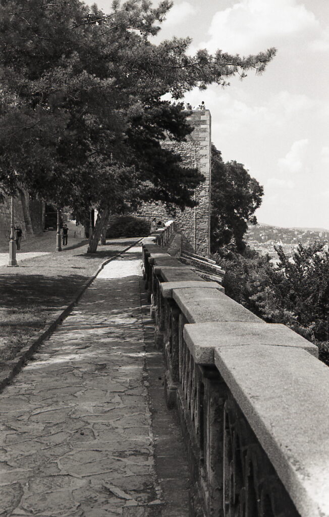 Konica IIIM Agfa APX 100-9339