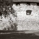 Konica IIIM Agfa APX 100-9342