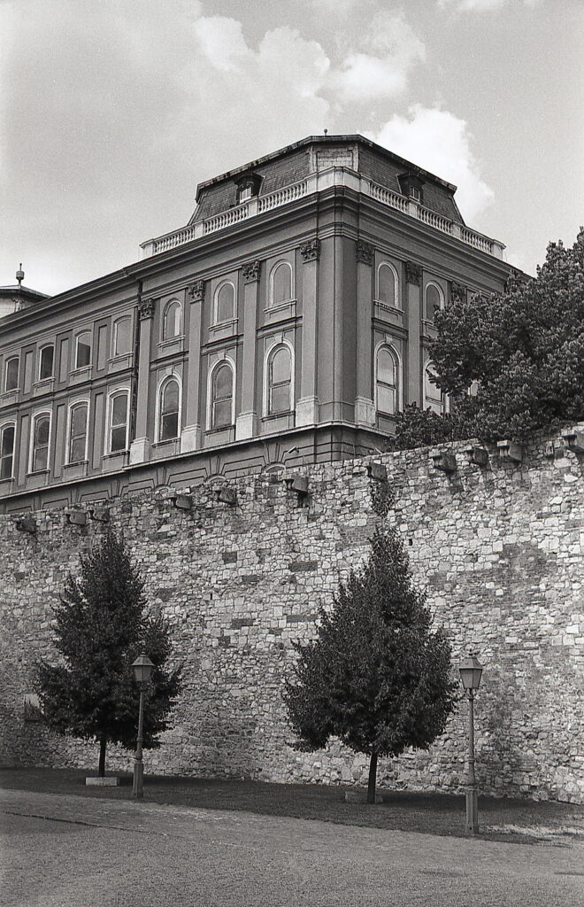 Konica IIIM Agfa APX 100-9345