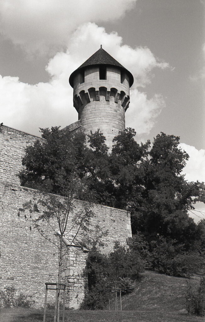 Konica IIIM Agfa APX 100-9348