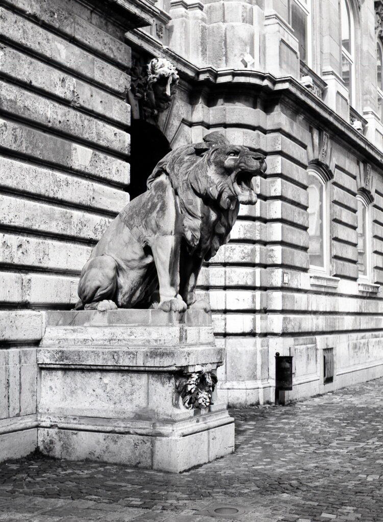Konica Pearl III Fomapan 100-9816